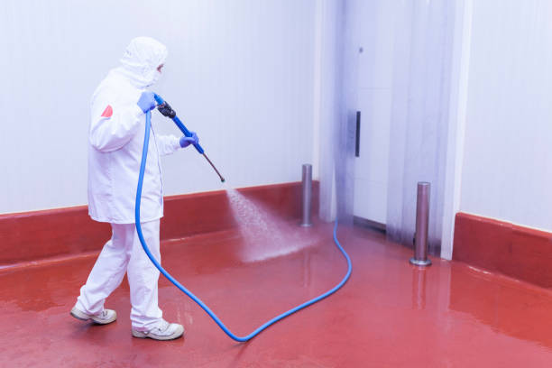 Best Boat and Dock Cleaning  in New Eagle, PA